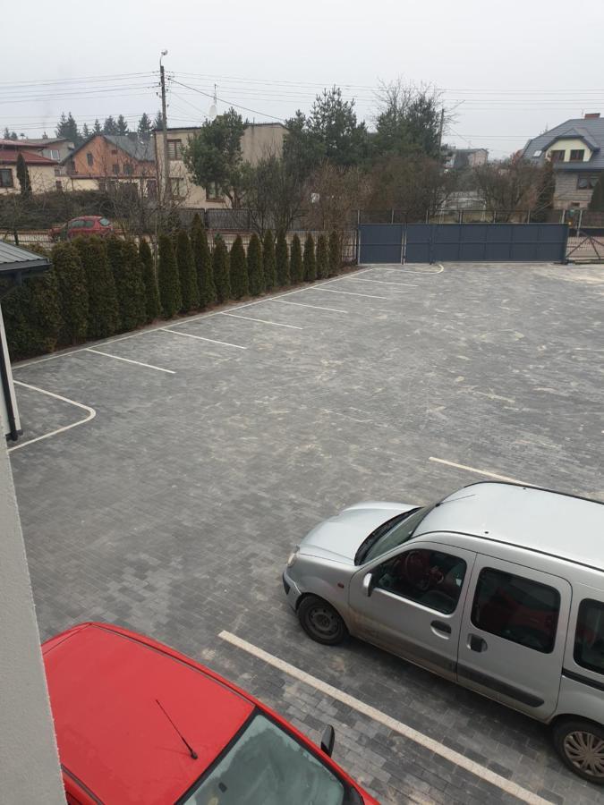 Greys * Brzeziny (Lodz)